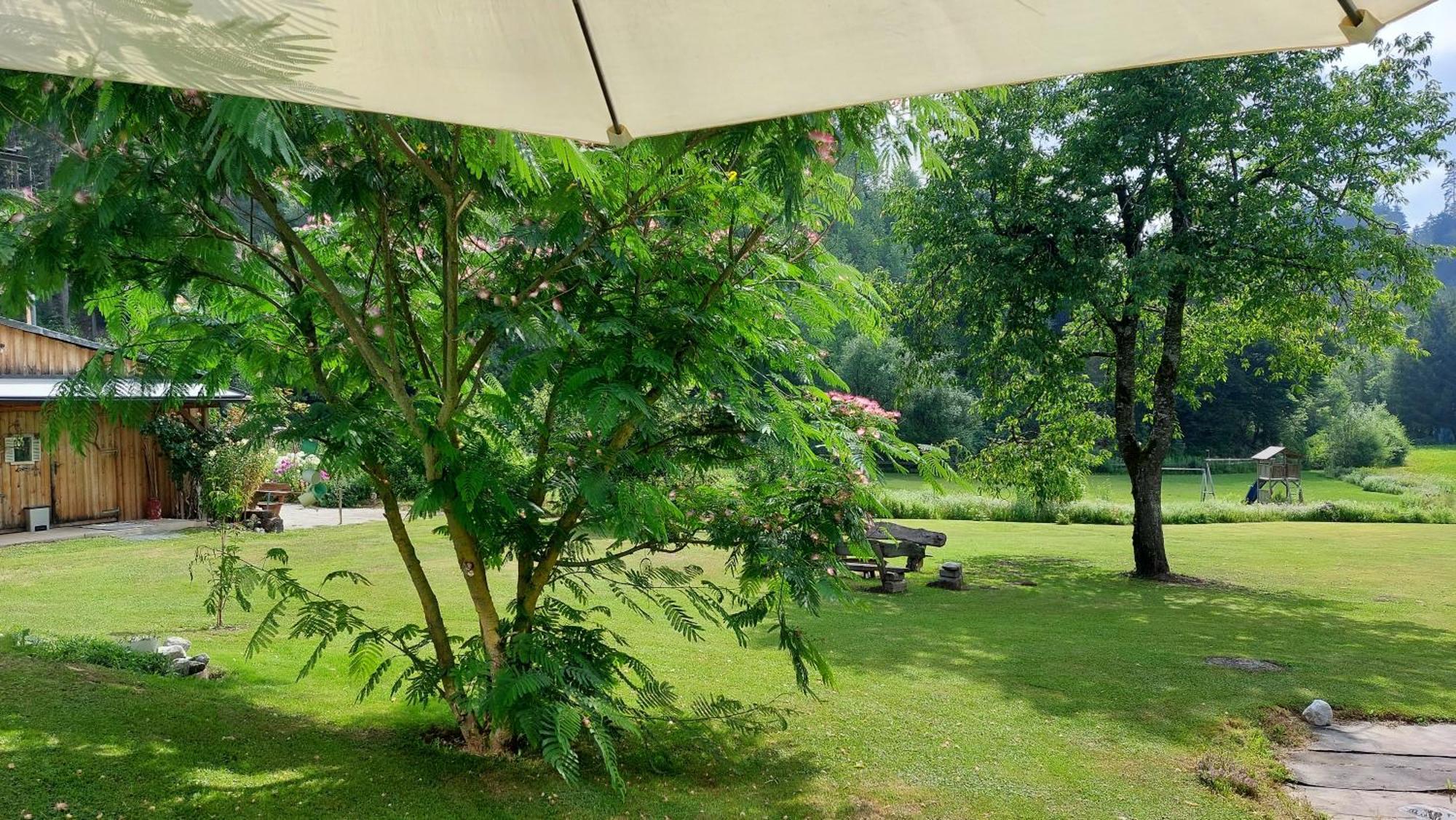 Das Stille Paradies Ledenitzen المظهر الخارجي الصورة